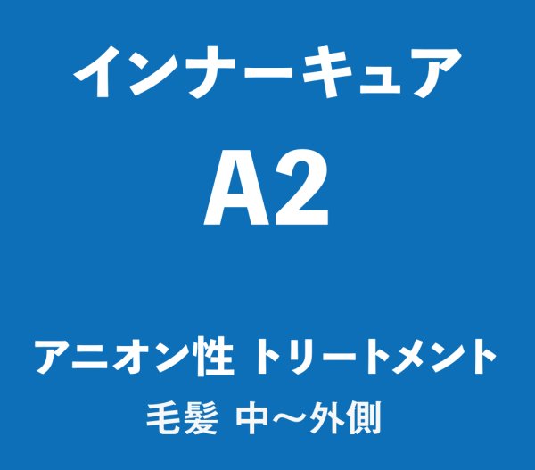 画像1: インナーキュア A2   アニオン性トリートメント 1000ml (1)